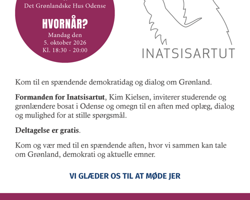 Demokratidag Grønland Side 2
